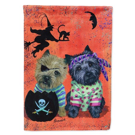 Carolines Treasures 28 x 0.01 x 40 in. Cairn Terrier Pirates Halloween Canvas House Flag PPP3043CHF